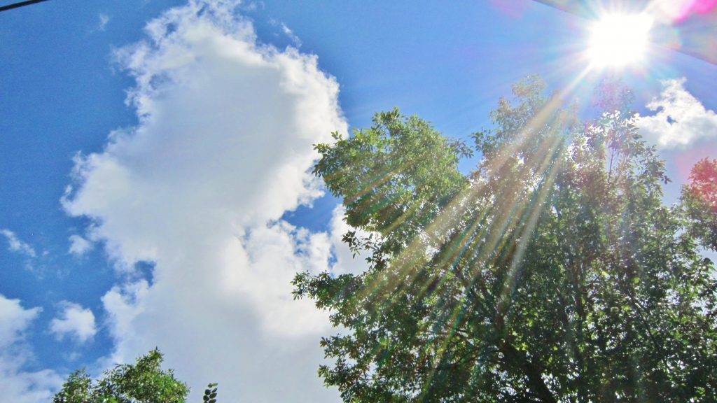 Canicule