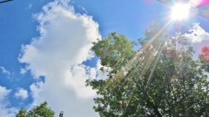 Canicule