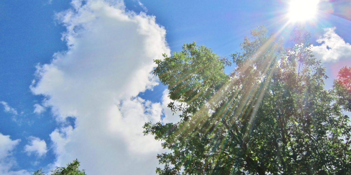 Canicule